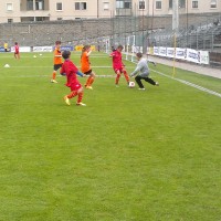 druellefc-100520143596.jpg