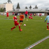 druellefc-100520143724.jpg