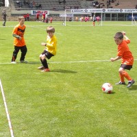 druellefc-100520143773.jpg