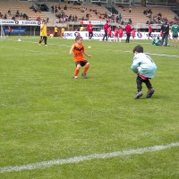 druellefc-100520143789.jpg