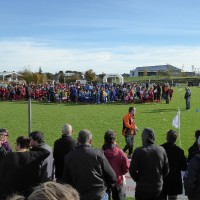 druellefc-p1040132.jpg