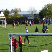 druellefc-p1040178.jpg