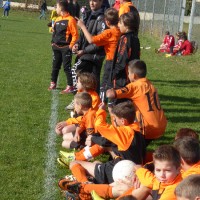 druellefc-p1040199.jpg