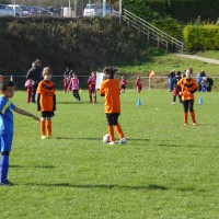 druellefc-p1040220.jpg
