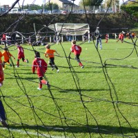 druellefc-p1040227.jpg