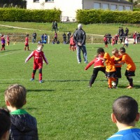 druellefc-p1040230.jpg