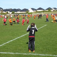 druellefc-p1040235.jpg