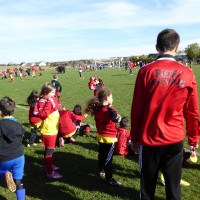 druellefc-p1040256.jpg