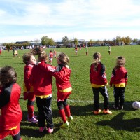 druellefc-p1040260.jpg