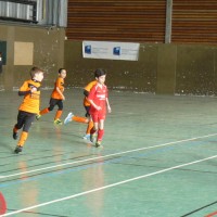 druellefc-p1130965.jpg