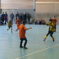 druellefc-p1140067.jpg