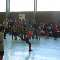 druellefc-p1140084.jpg