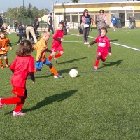 druellefc-071.jpg
