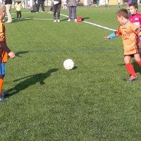 druellefc-082.jpg