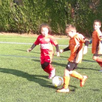 druellefc-092.jpg