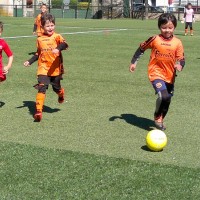 druellefc-plateau-067.jpg