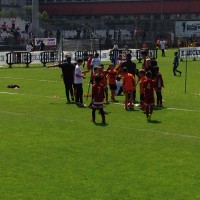 druellefc-057.jpg