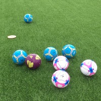 druellefc-img_2153.jpg