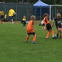 druellefc-img_9206.jpg