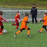 druellefc-img_2733.jpg